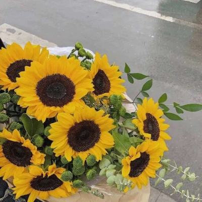 9博体育app下载官网