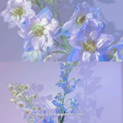 乐动体育app全站下载