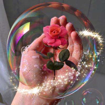 bob半岛·体育中国官方网站