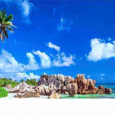 芒果体育下载手机版